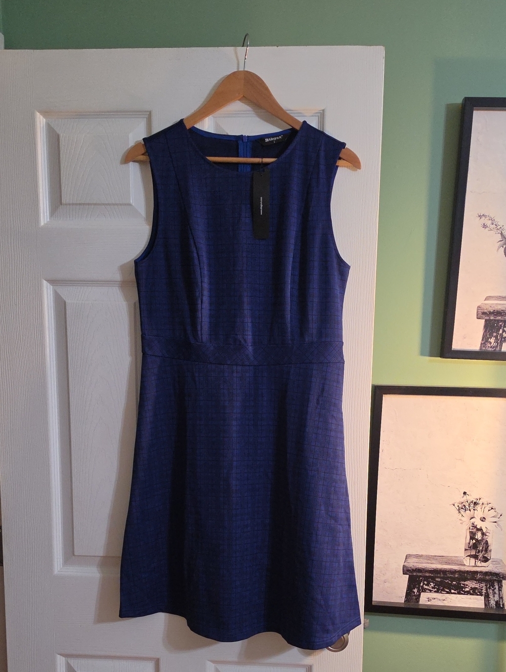 Alegria Royal Blue Sleeveless Fit-and-Flare Dress